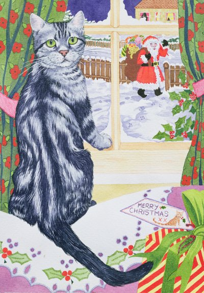 Een Kerstbezoeker voor Toby door Suzanne Bailey